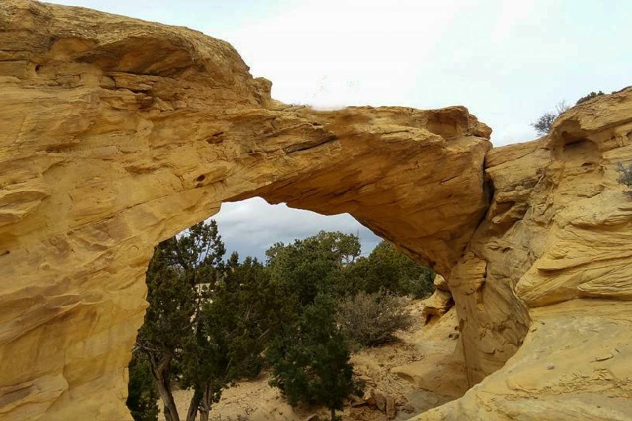 Coyote Run 9 Βίλα Moab Εξωτερικό φωτογραφία